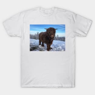 Scottish Highland Cattle Calf 1896 T-Shirt